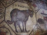 Vierde-eeuws mozaiek, Aquileia, patriarchale basiliek - foto: Giovanni dall'Orto