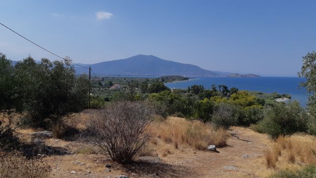 The coast of North Kynouria from Nis Ayou Andra - Photo: Jaap-Jan Flinterman, summer 2024