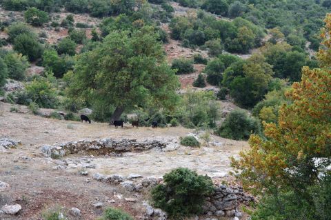 Threshing floor in disuse - Photo: Jaap-Jan Flinterman, September 2022